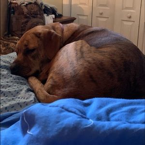 Meet your Posher, Haley